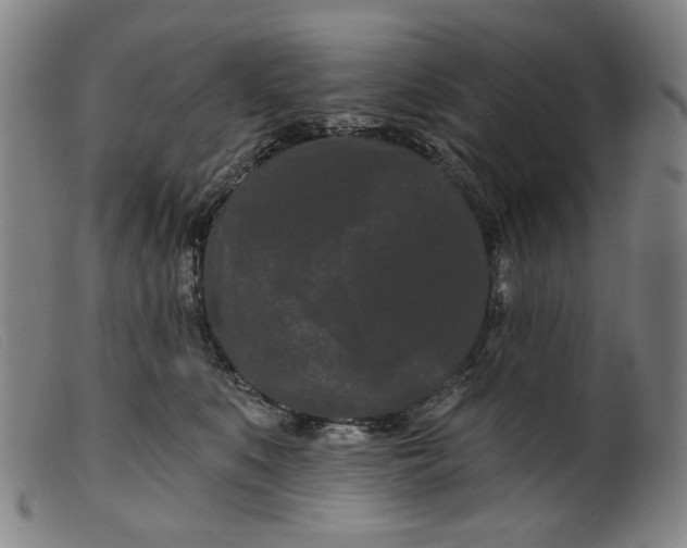 X0000099420519200805231632