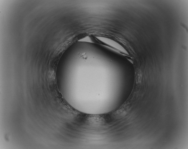 X0000099420521200805231632