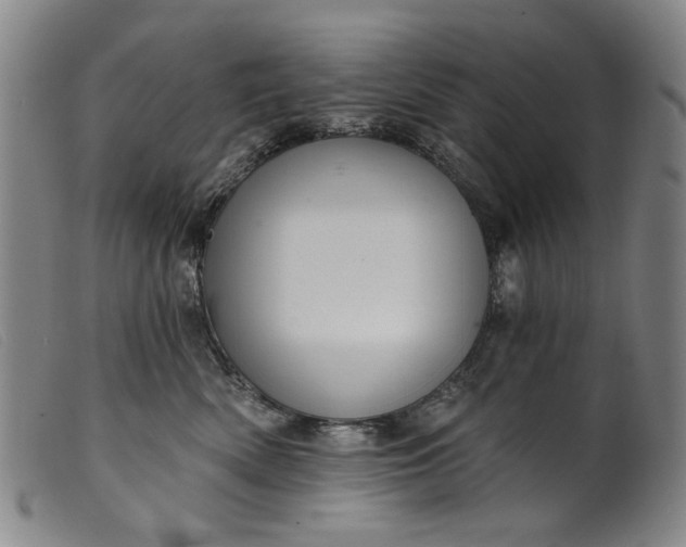 X0000099420522200805231632