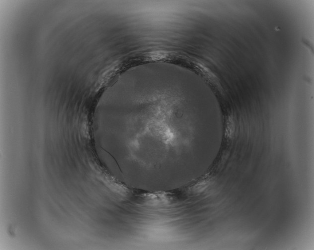 X0000099420524200805231632