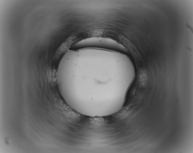 X0000099420525200805231632