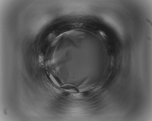 X0000099420526200805231632