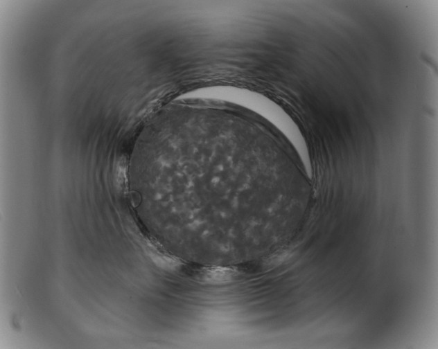 X0000099420527200805231632