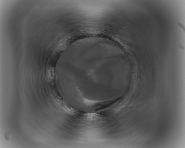 X0000099420528200805231632