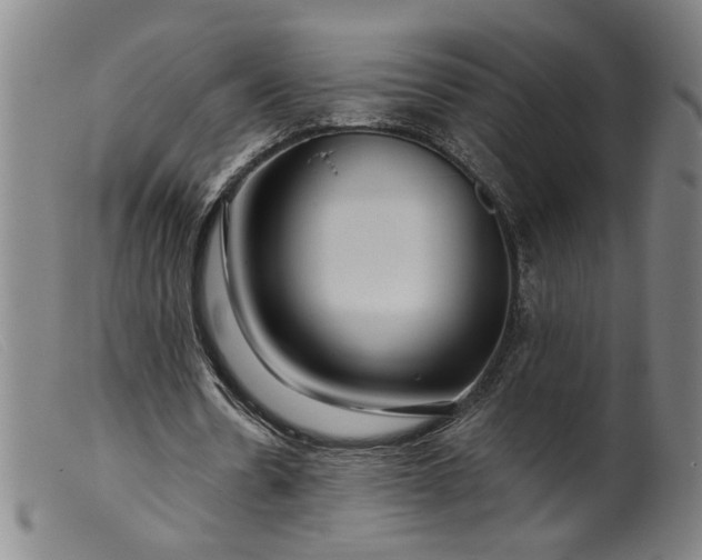 X0000099420530200805231631