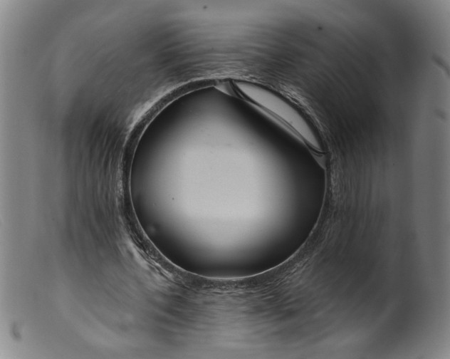 X0000099420532200805231631