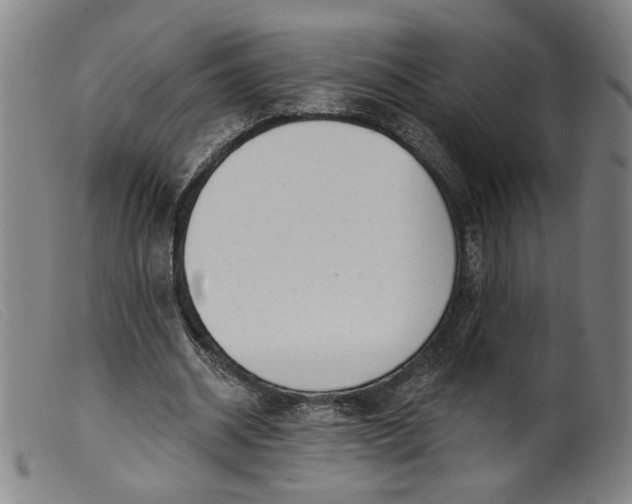X0000099420534200805231631
