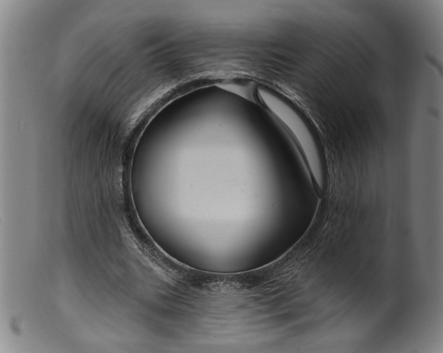 X0000099420535200805231631