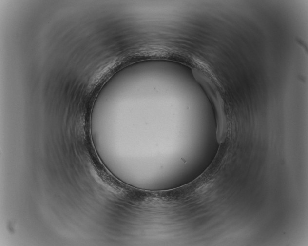 X0000099420538200805231631