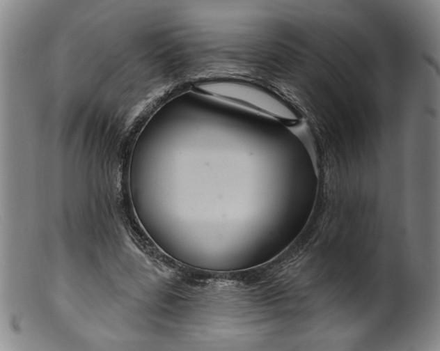 X0000099420539200805231631