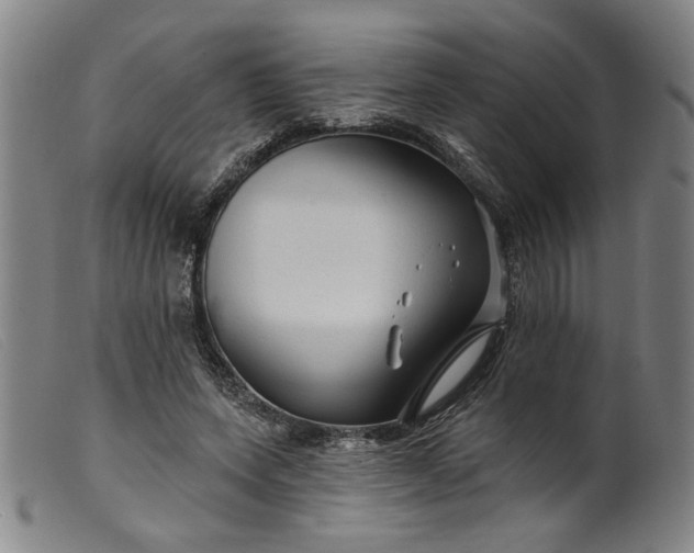 X0000099420543200805231631