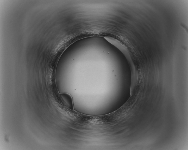 X0000099420544200805231631