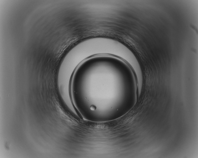 X0000099420546200805231631