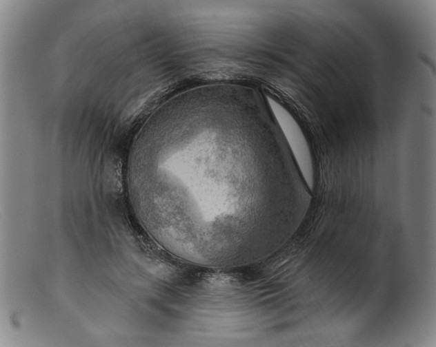 X0000099420547200805231631