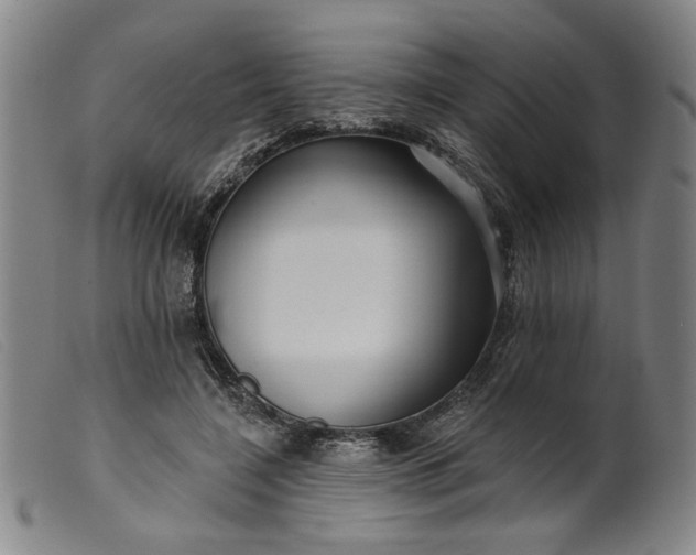 X0000099420548200805231631