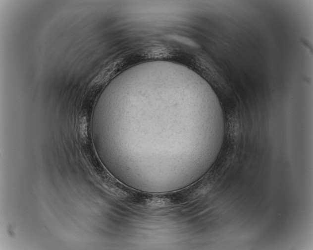 X0000099420549200805231631
