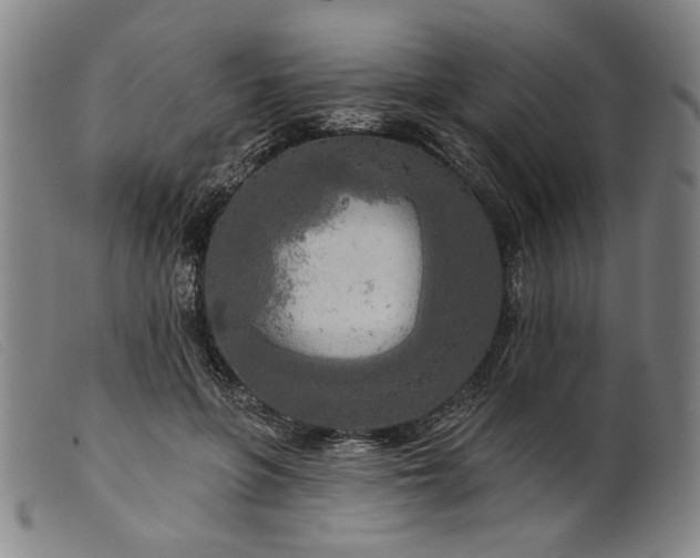 X0000099420551200805231631