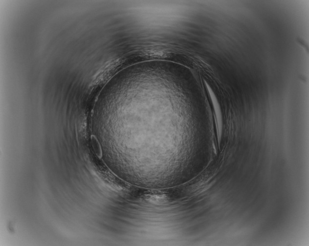 X0000099420552200805231631