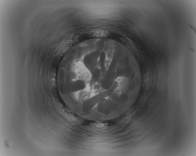 X0000099420553200805231631