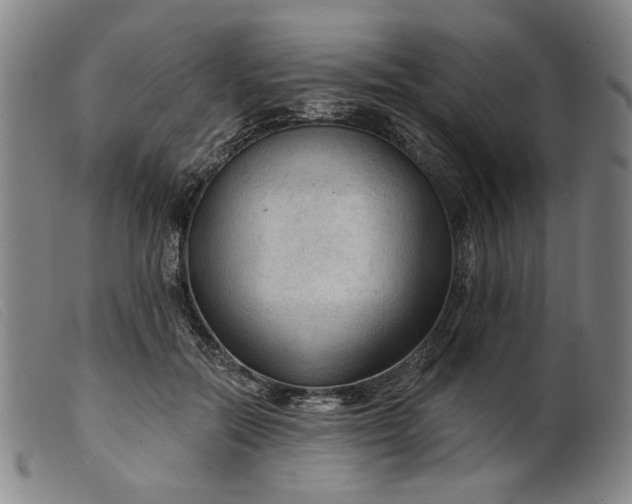X0000099420554200805231631