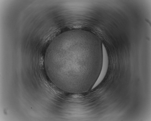 X0000099420555200805231631
