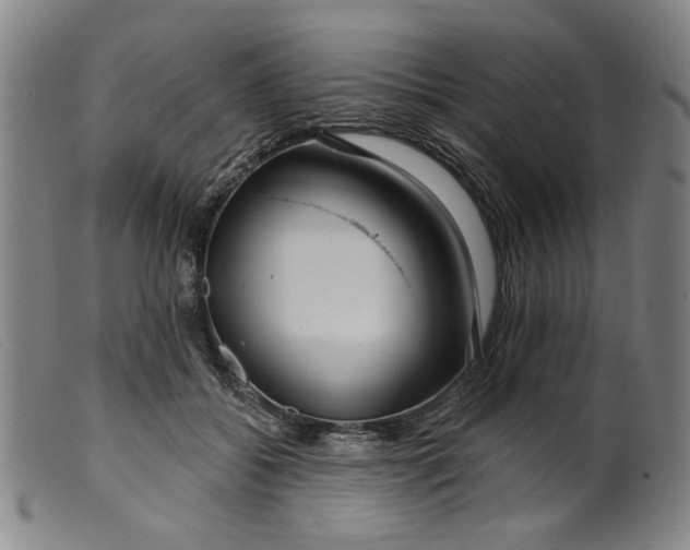 X0000099420556200805231631