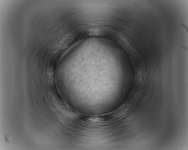 X0000099420557200805231631