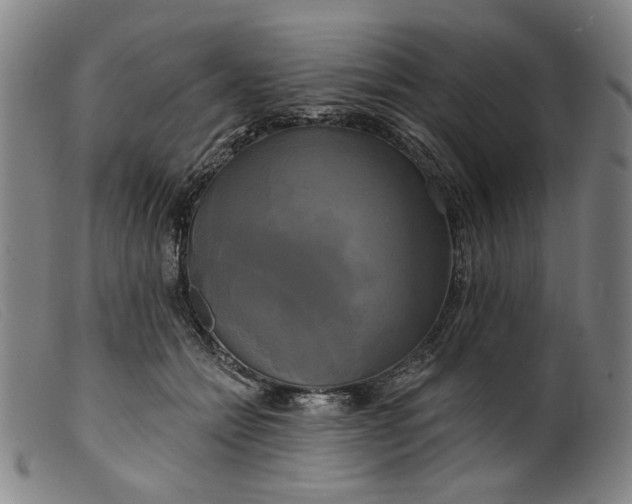 X0000099420558200805231631