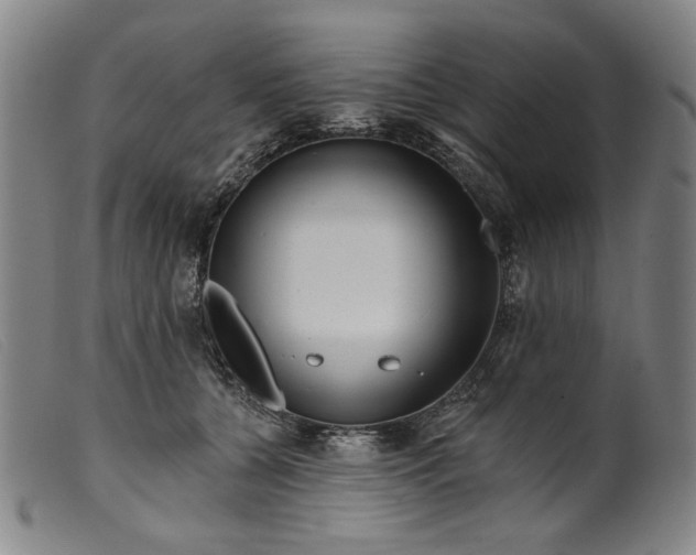 X0000099420560200805231631