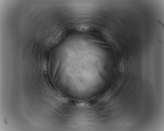 X0000099420561200805231631