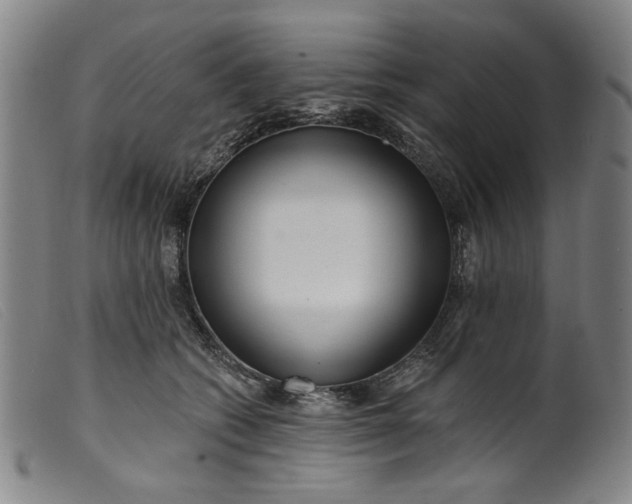 X0000099420562200805231631