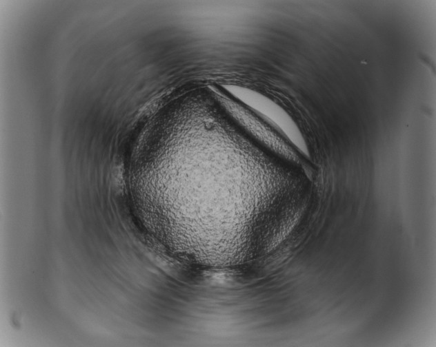 X0000099420564200805231631