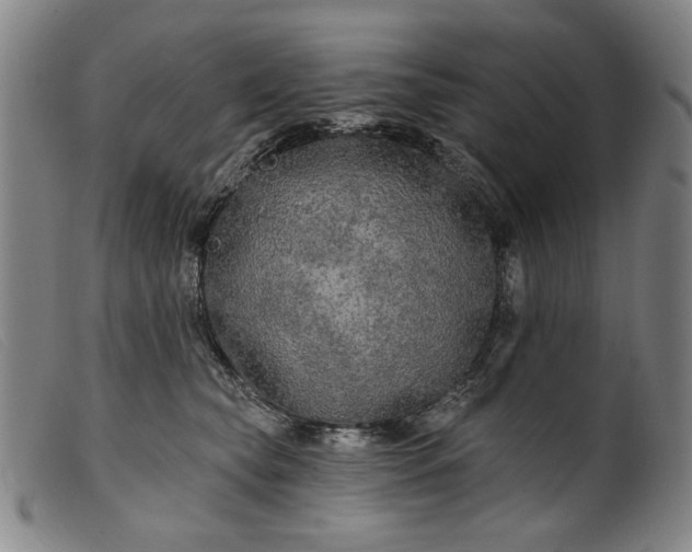 X0000099420565200805231631