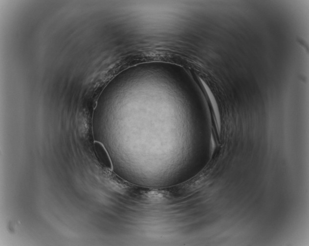 X0000099420566200805231631