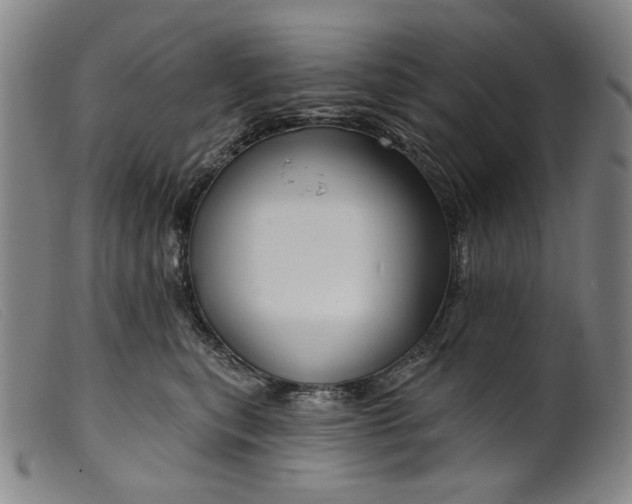 X0000099420567200805231631
