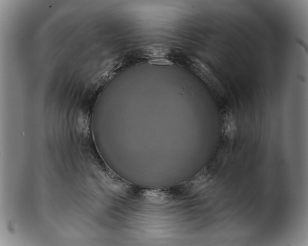 X0000099420568200805231631