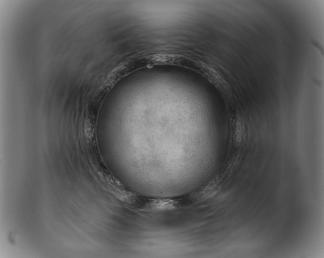 X0000099420569200805231631