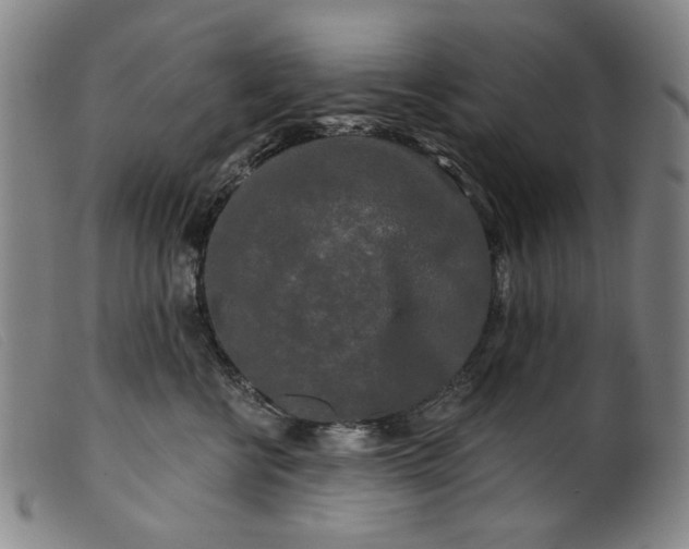X0000099420570200805231631