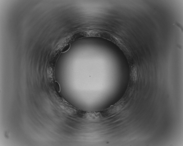 X0000099420571200805231631