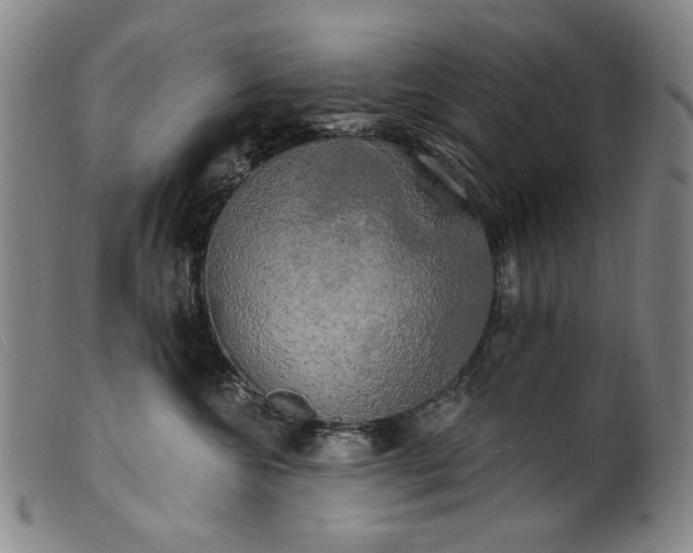 X0000099420572200805231631