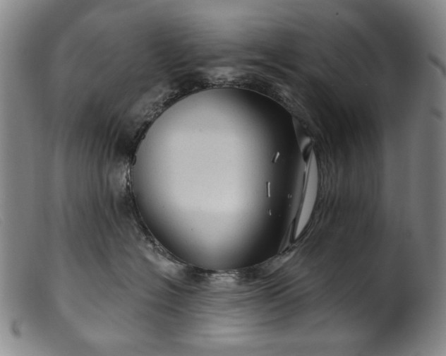 X0000099420574200805231631