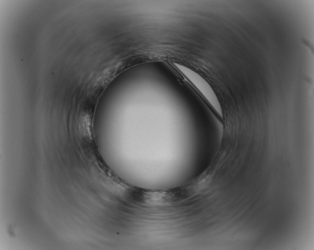 X0000099420575200805231631