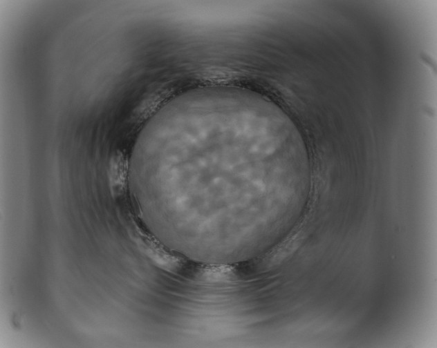 X0000099420576200805231632