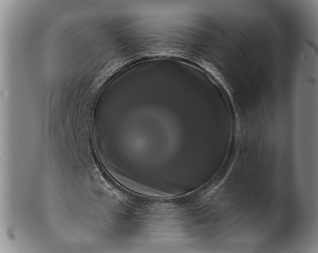 X0000099420577200805231631