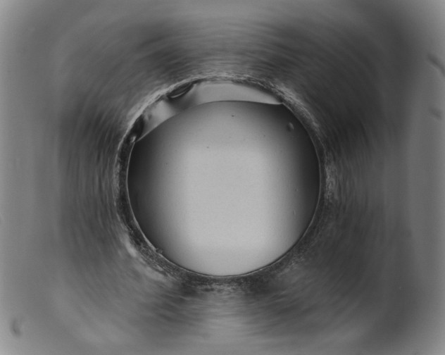 X0000099420580200805231631