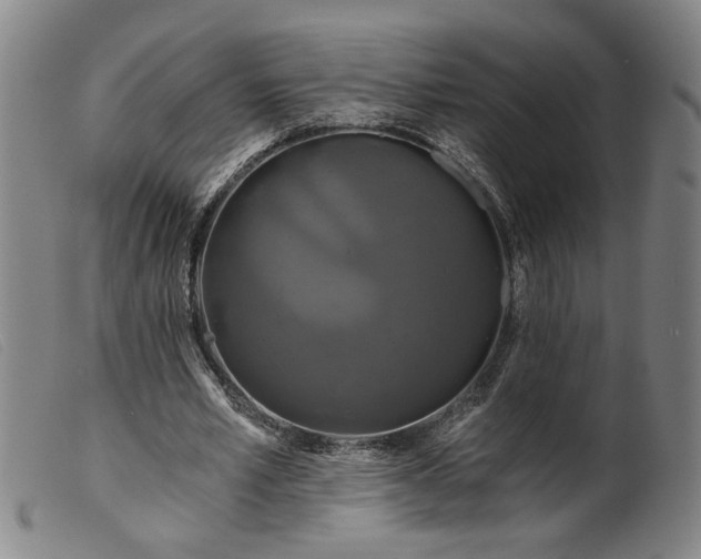 X0000099420581200805231631