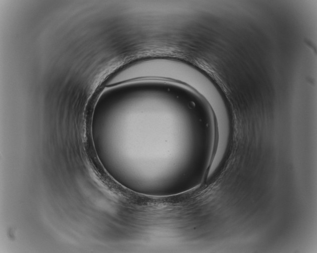 X0000099420582200805231631