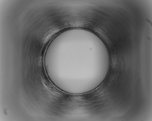 X0000099420583200805231631