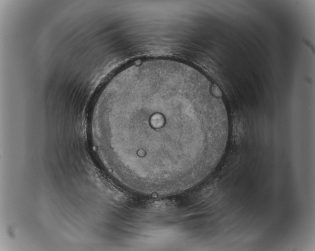 X0000099420584200805231631