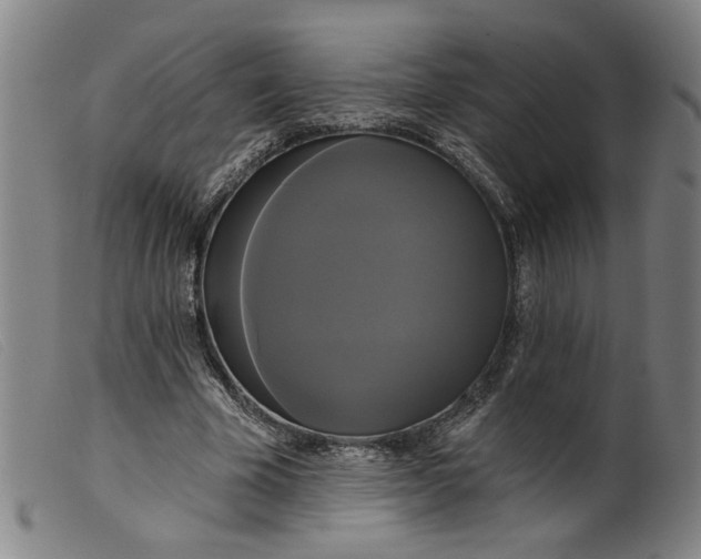X0000099420585200805231631
